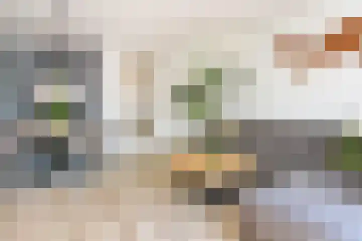 Veilingweg 3 E De Lier thumbnail 8