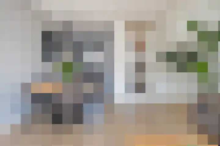 Veilingweg 3 E De Lier thumbnail 9