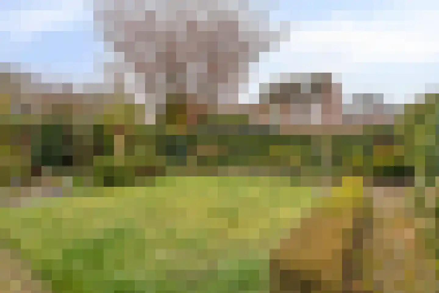 Veken 10 Veldhoven thumbnail 40