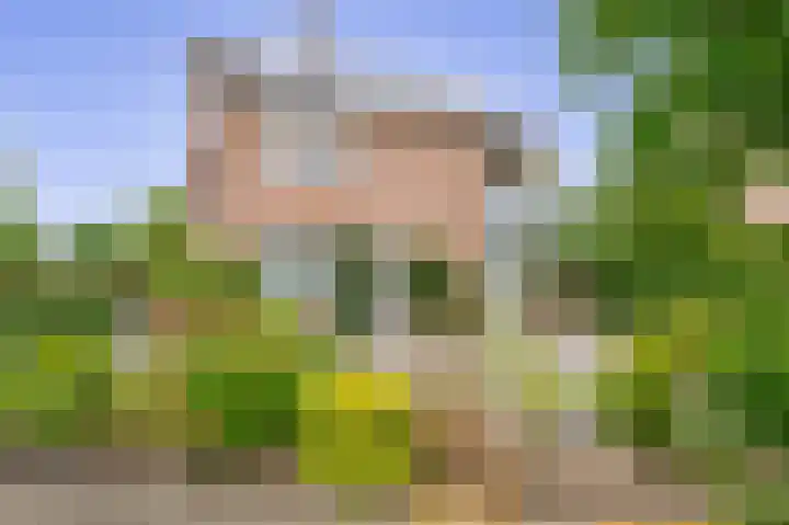 Velakker 16 Nuenen thumbnail 10