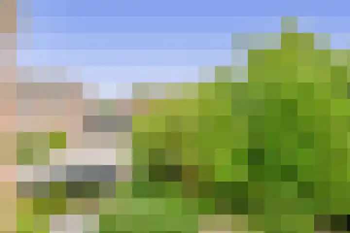 Velakker 16 Nuenen thumbnail 34