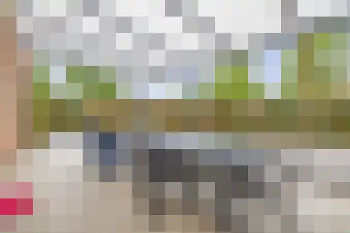 Velakker 16 Nuenen thumbnail 46
