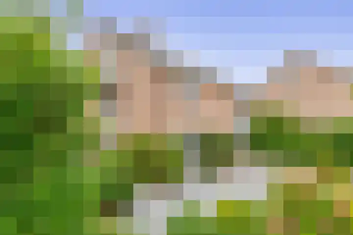 Velakker 16 Nuenen thumbnail 6
