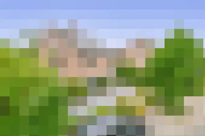 Velakker 16 Nuenen thumbnail 7