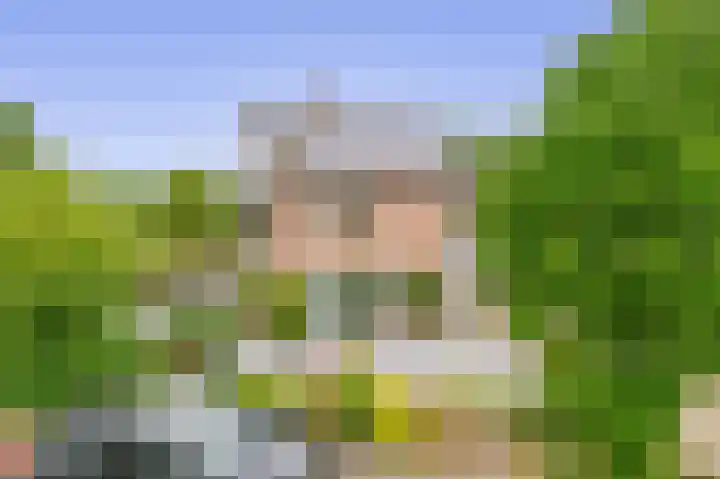 Velakker 16 Nuenen thumbnail 8