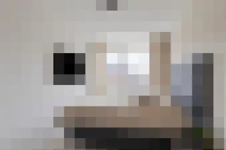 Veldacker 30 Veldhoven thumbnail 18