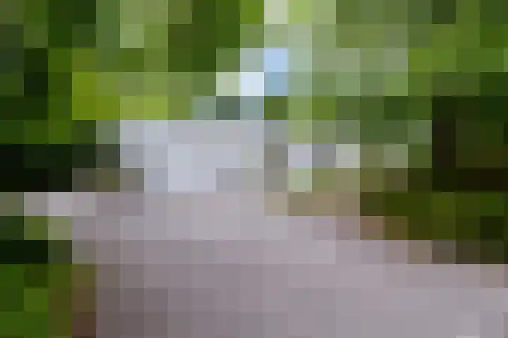 Veldakker 2 in Beilen