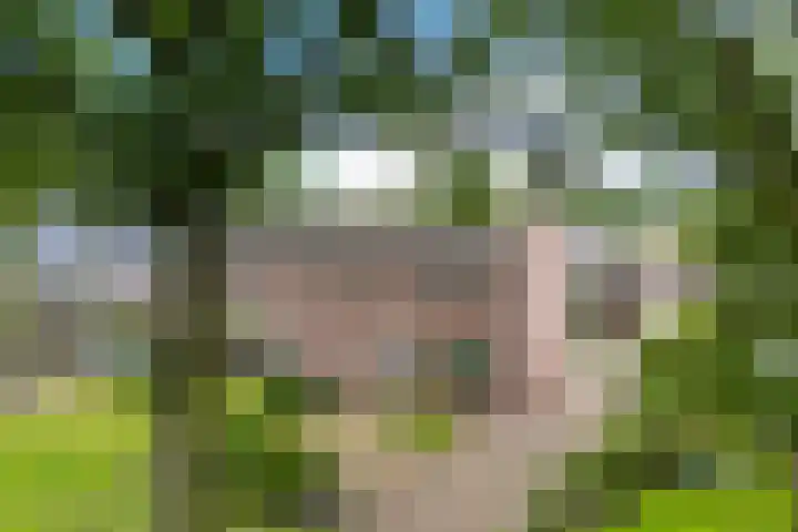 Veldakkersweg 18 Exloo