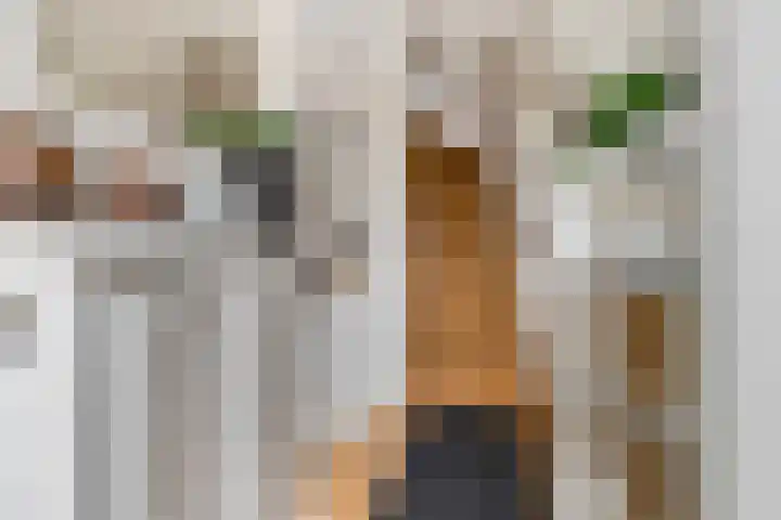 Veldbeeklaan 12 Ede thumbnail 19