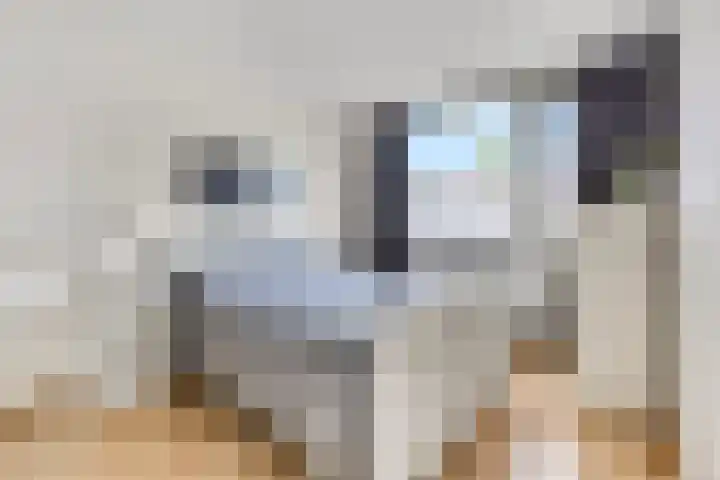 Veldbeeklaan 12 Ede thumbnail 20
