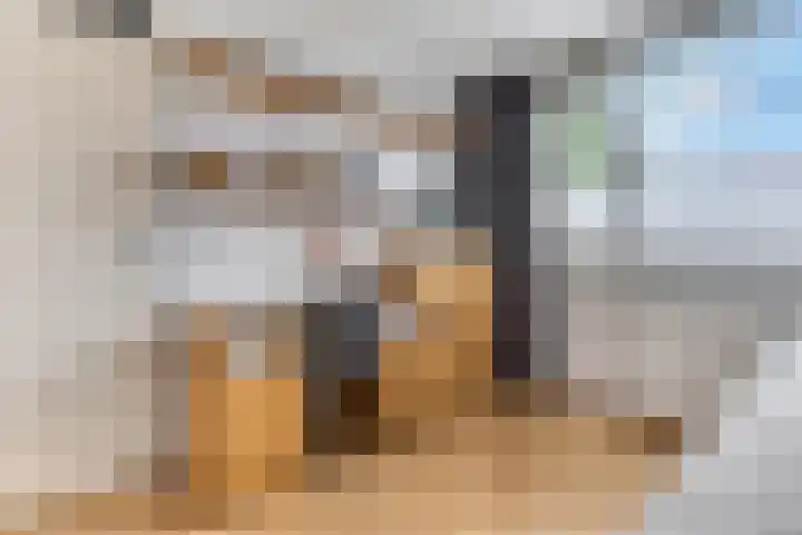 Veldbeeklaan 12 Ede thumbnail 25