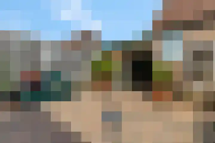 Veldbeeklaan 12 Ede thumbnail 35
