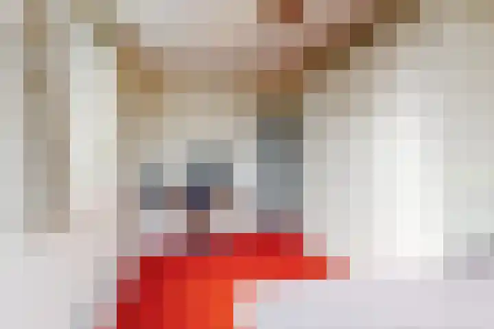 Veldbeemd 29 Wognum thumbnail 31