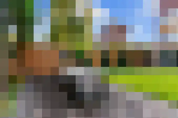 Veldbeemd 29 Wognum thumbnail 39