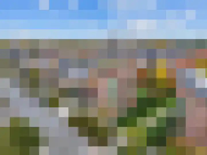 Veldbeemd 29 Wognum thumbnail 44