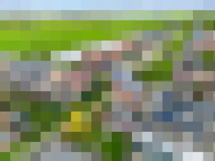 Veldbeemd 29 Wognum thumbnail 48