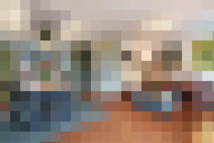 Veldbeemdgras 12 Zwolle thumbnail 11