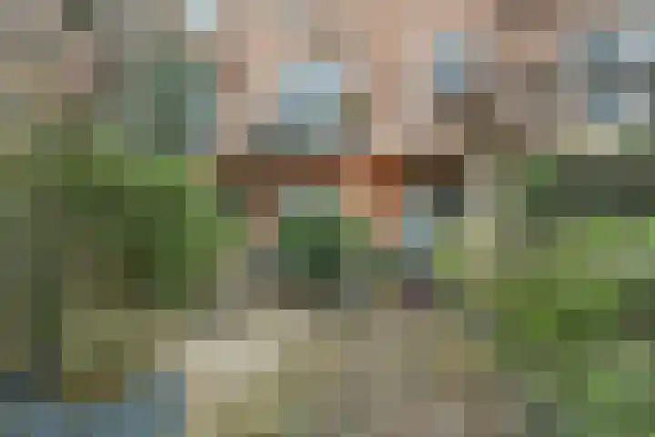 Veldbeemdgras 12 Zwolle thumbnail 31