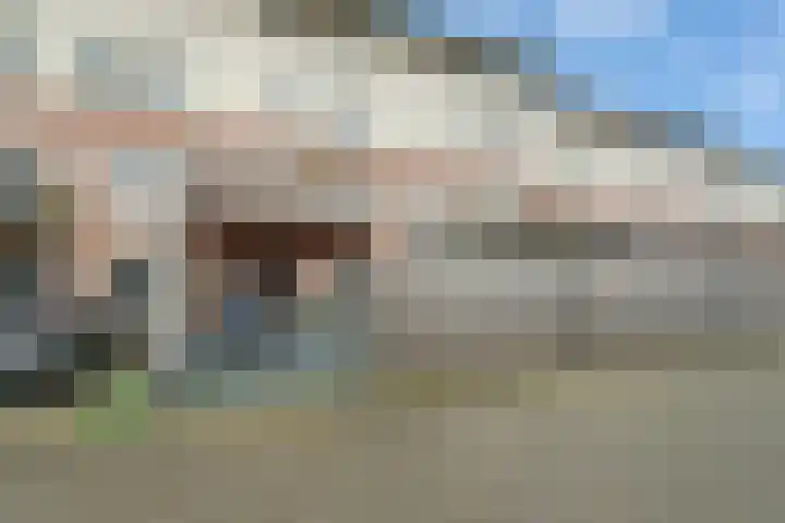 Veldbeemdgras 12 Zwolle thumbnail 36