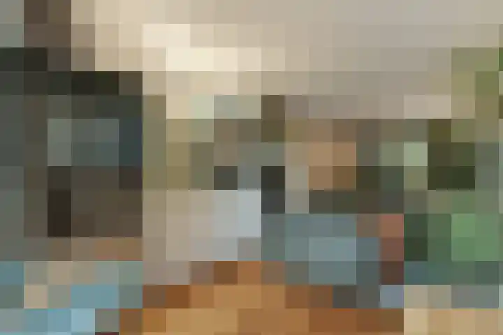 Veldbeemdgras 12 Zwolle thumbnail 4