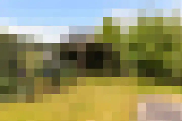 Veldbies 15 Mariënheem thumbnail 29