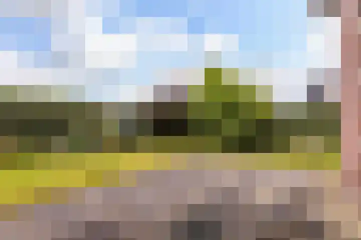 Veldbies 15 Mariënheem thumbnail 31