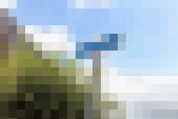 Veldbies 15 Mariënheem thumbnail 32