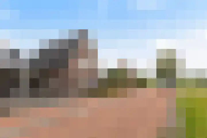 Veldbies 15 Mariënheem thumbnail 36