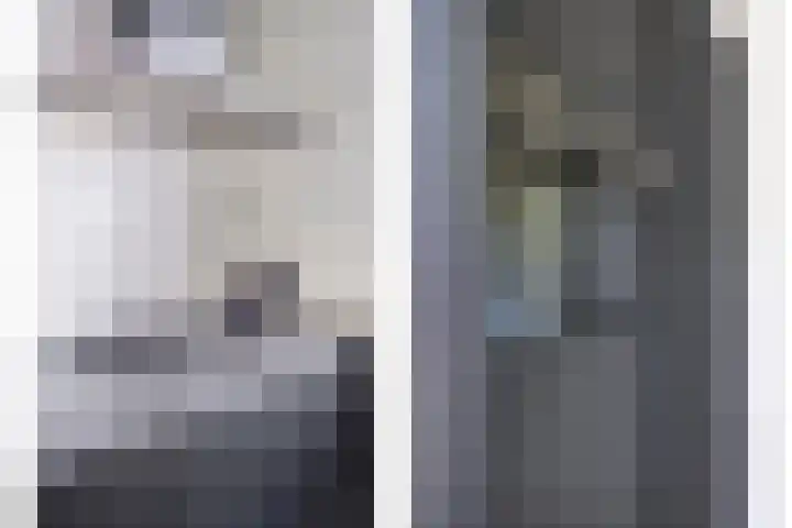 Veldbies 33 Vlijmen thumbnail 12