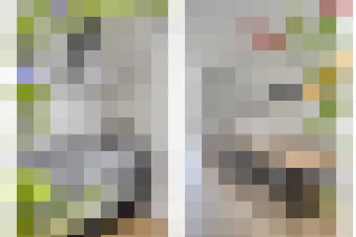 Veldbies 33 Vlijmen thumbnail 13