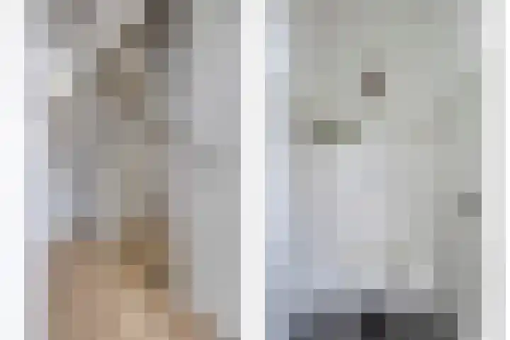 Veldbies 33 Vlijmen thumbnail 28