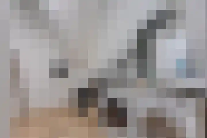 Veldbies 33 Vlijmen thumbnail 34