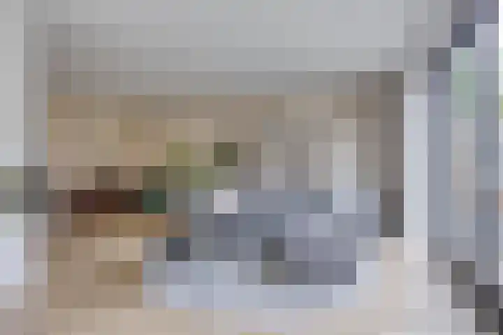 Veldbies 33 Vlijmen thumbnail 4