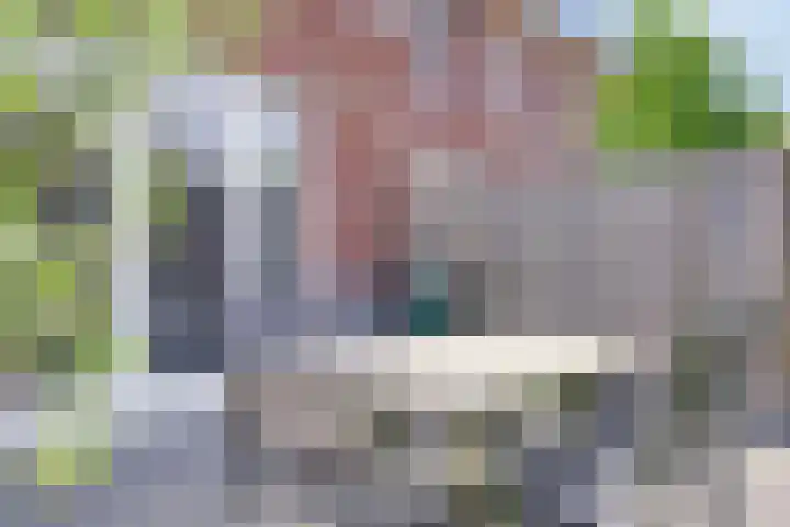Veldbies 33 Vlijmen thumbnail 41