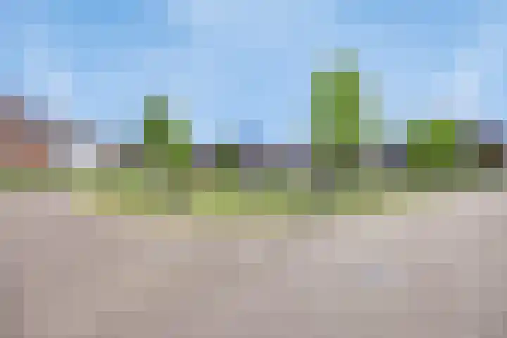 Veldbies 33 Vlijmen thumbnail 47