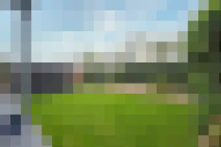 Veldbloem 18 Eijsden thumbnail 23