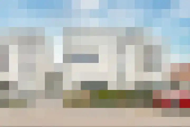 Veldbloem 18 Eijsden thumbnail 24
