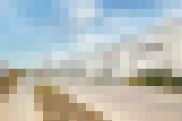 Veldbloem 18 Eijsden thumbnail 25