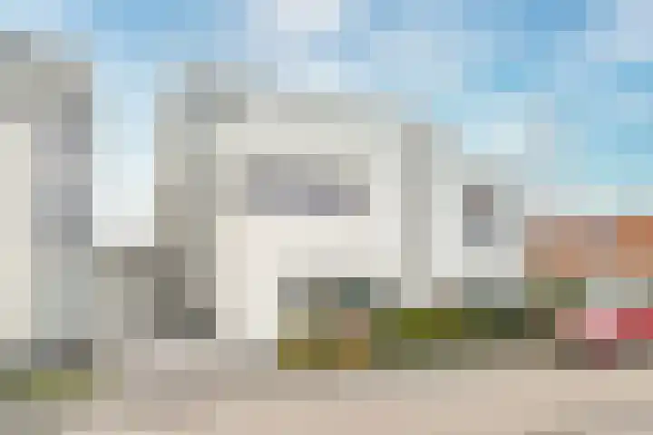 Veldbloem 18 Eijsden thumbnail 30