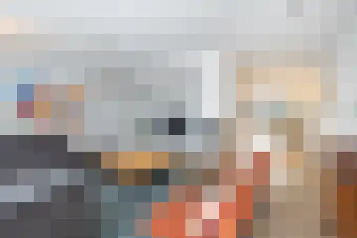 Veldbloem 18 Eijsden thumbnail 4