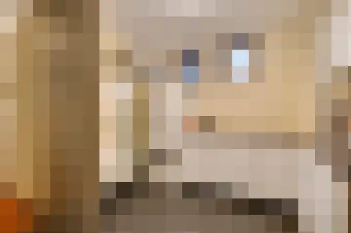 Veldbloemstraat 16 Weert thumbnail 45