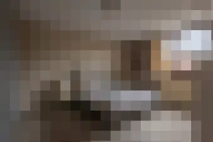Veldbrand 9 Landgraaf thumbnail 12