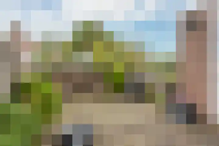 Veldbrand 9 Landgraaf thumbnail 23