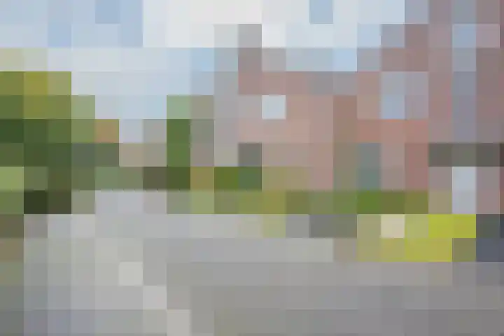 Veldbrand 9 Landgraaf thumbnail 27