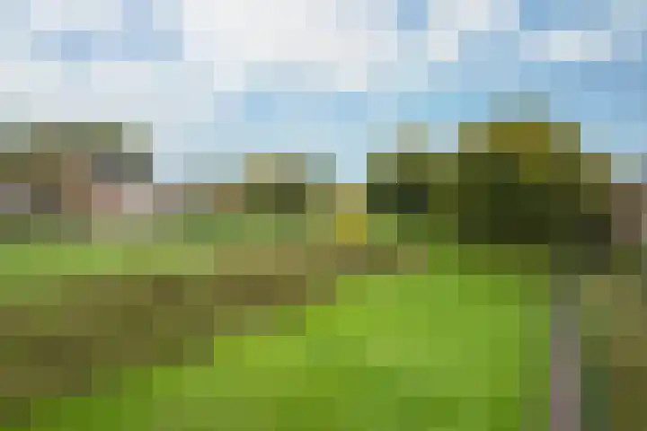 Veldbrand 9 Landgraaf thumbnail 28