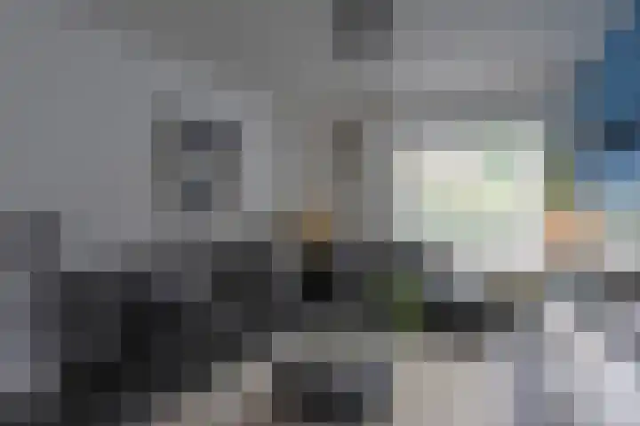Veldbrand 9 Landgraaf thumbnail 6