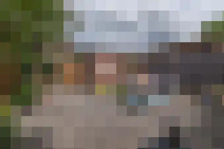 Velddreef 188 Zoetermeer thumbnail 11