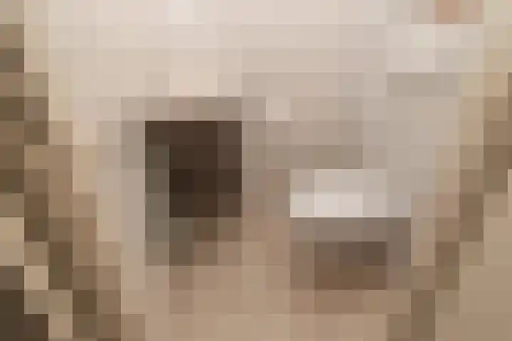 Velddreef 188 Zoetermeer thumbnail 13