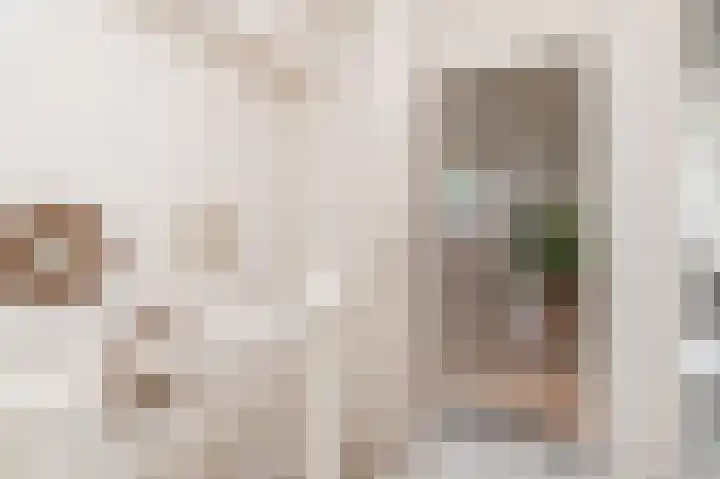 Velddreef 188 Zoetermeer thumbnail 17