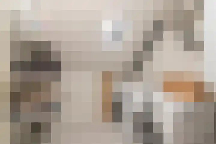 Velddreef 188 Zoetermeer thumbnail 24